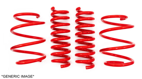 V-Maxx, Lowering Springs (35 FO 47)